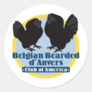 Recherche de anvers autocollants Belge