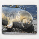 Recherche de phoque tapis souris Mignon