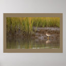 Recherche de aquatiques en art Faune