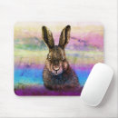 Recherche de lievre tapis souris Sauvage