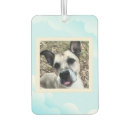 Recherche de canines voiture accessoires Toute personne