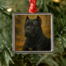 Recherche de corso de canne ornements Chien