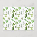 Recherche de herboriste cartes postales Herbes