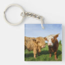 Recherche de vache brune porteclés Animal de ferme