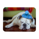 Recherche de caresse magnets Mignon