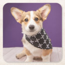 Recherche de skull dessous de verres Mignon