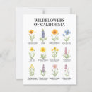 Recherche de résilience cartes postales Croissance