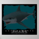 Recherche de attaque requin art Dents