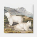 Recherche de chèvre mignonne magnets Vintage