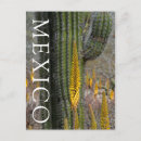 Recherche de agaves cartes postales Flore