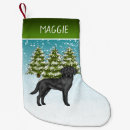 Recherche de hiver chaussette de noël Toute personne