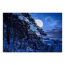 Recherche de sapin posters Bleu