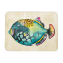 Recherche de poissons tropicaux magnets Coloré