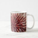 Recherche de oursins tasses Océan