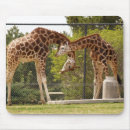 Recherche de girafe tapis souris Cou