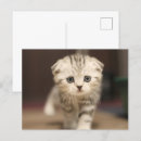 Recherche de scottish cartes postales Vacances