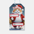 Recherche de chat de père noël Santa claus