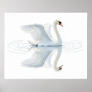 Recherche de reflet art Beau
