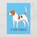 Recherche de chien de beagle cartes postales Dog