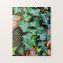 Recherche de lierre puzzles Jardin