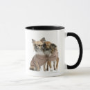 Recherche de animaux habillés tasses Humour