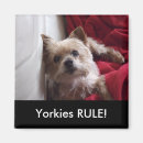 Recherche de terrier refrigérateur magnets Dogs