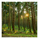 Recherche de serein posters Paysage tranquille