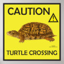 Recherche de tortue posters Jaune