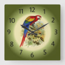 Recherche de plumage art Macaw