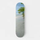 Recherche de calme skateboards Océan