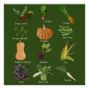 Recherche de légumes posters Végétarien