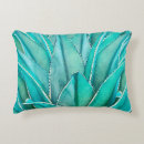 Recherche de agave coussins Cactus
