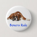 Recherche de boxeurs de badges Chiots
