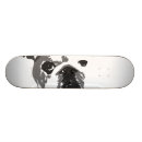 Recherche de bouledogue français skateboards Patin