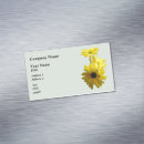 Recherche de marguerite jaune cartes visite Jardin