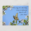 Recherche de papillon à queue jaune cartes postales Insecte