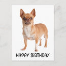 Recherche de le chiwawa vœux cartes Amoureux des chiens