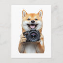 Recherche de shiba cartes postales Amoureux