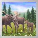 Recherche de orignaux taureau posters Animaux