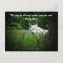 Recherche de regard de loup posters Nature