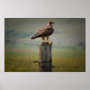 Recherche de saskatchewan canada posters Photographie