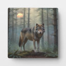 Recherche de loups plaques Nature
