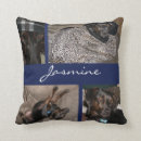 Recherche de animal familier coussins Pour tous