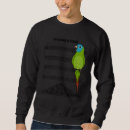 Recherche de conures Perroquet