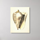 Recherche de collection impressions sur toile Conque