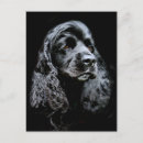 Recherche de visage de chien cartes postales Canine
