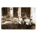 Recherche de scooters magnets L'italie