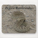 Recherche de serpent enroulé Reptiles