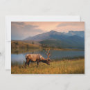 Recherche de alberta canada vœux cartes Paysage