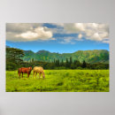Recherche de chevaux sur la plage posters Pour elle